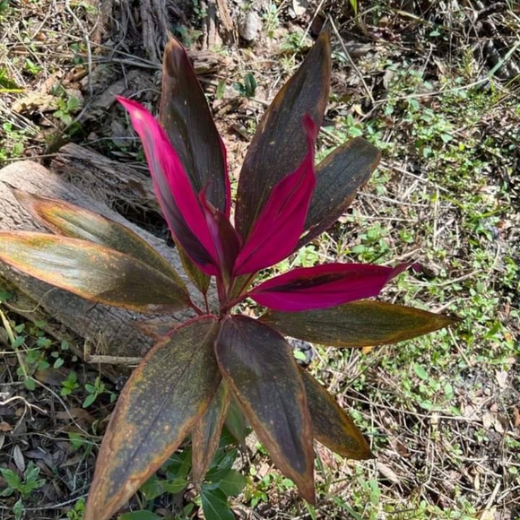 Meet your Posher, honey baby - Picture 12 of 12